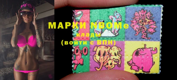 ГАЛЛЮЦИНОГЕННЫЕ ГРИБЫ Баксан