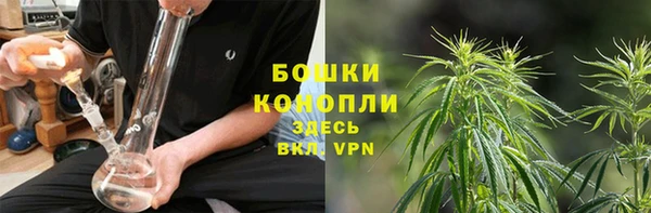 PSILOCYBIN Балабаново